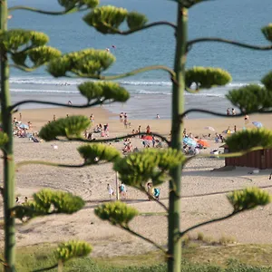 Apartamento Centro De Conil